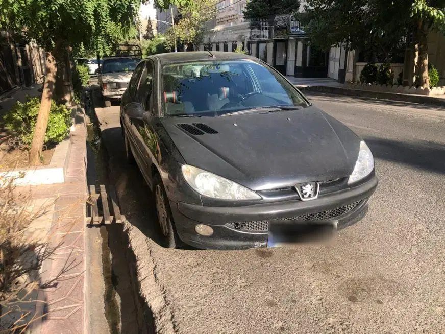 خودرو پژو، 206 آگهی ann_19953705