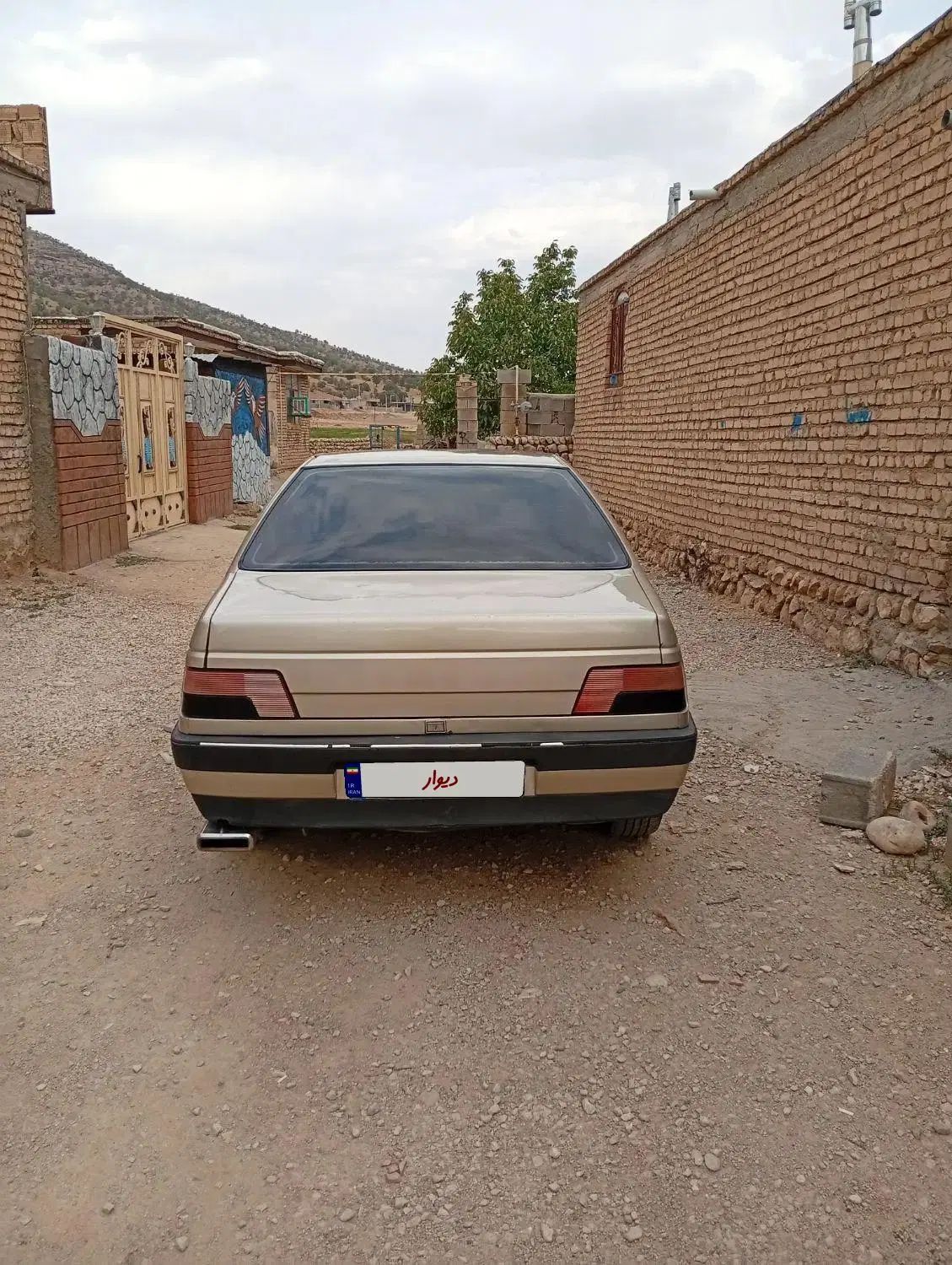 پژو 405 GLX - دوگانه سوز - 1386