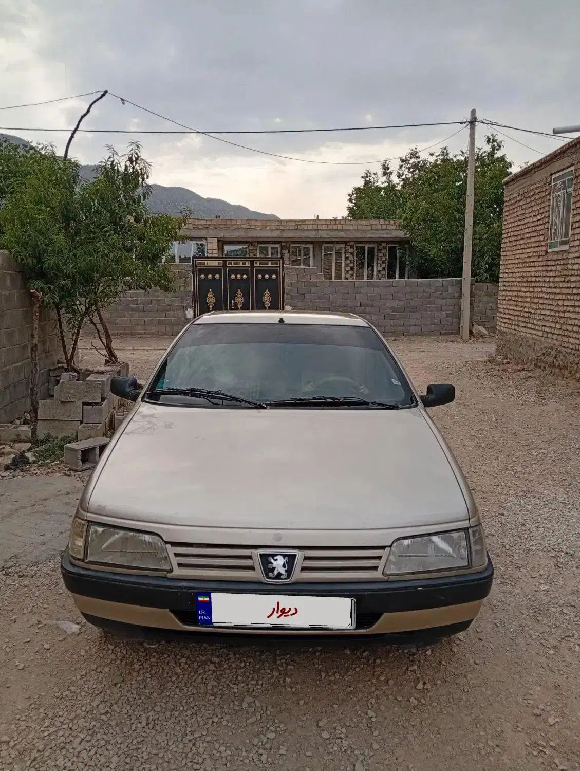 پژو 405 GLX - دوگانه سوز - 1386
