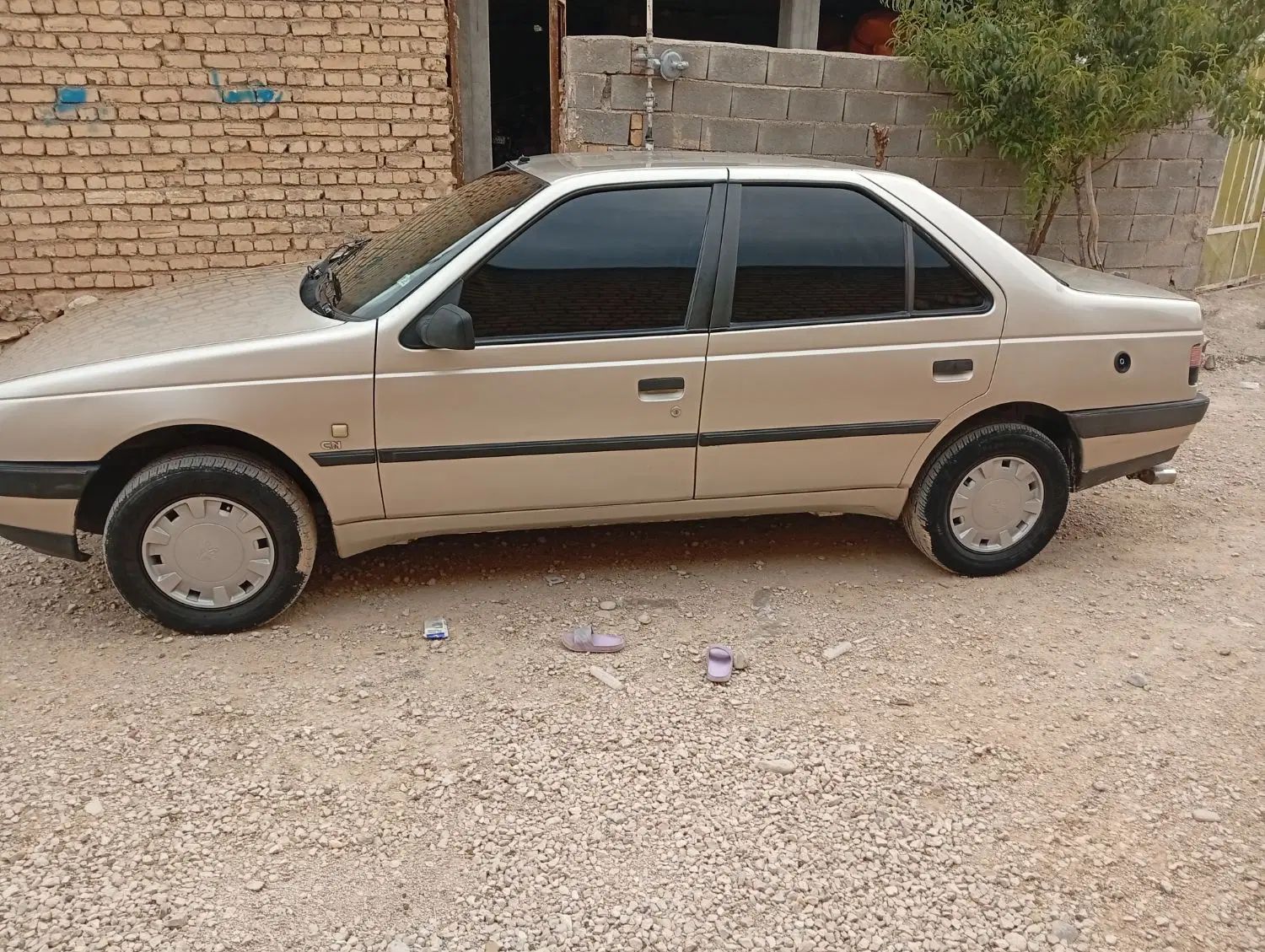 خودرو پژو، 405 آگهی ann_19954016