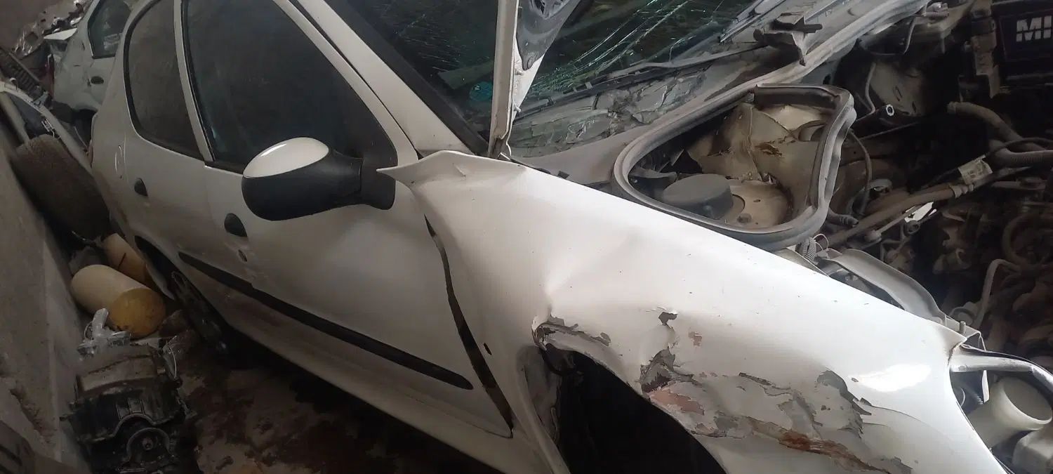 پژو ۲۰۶ صندوق دار v8 - 1395