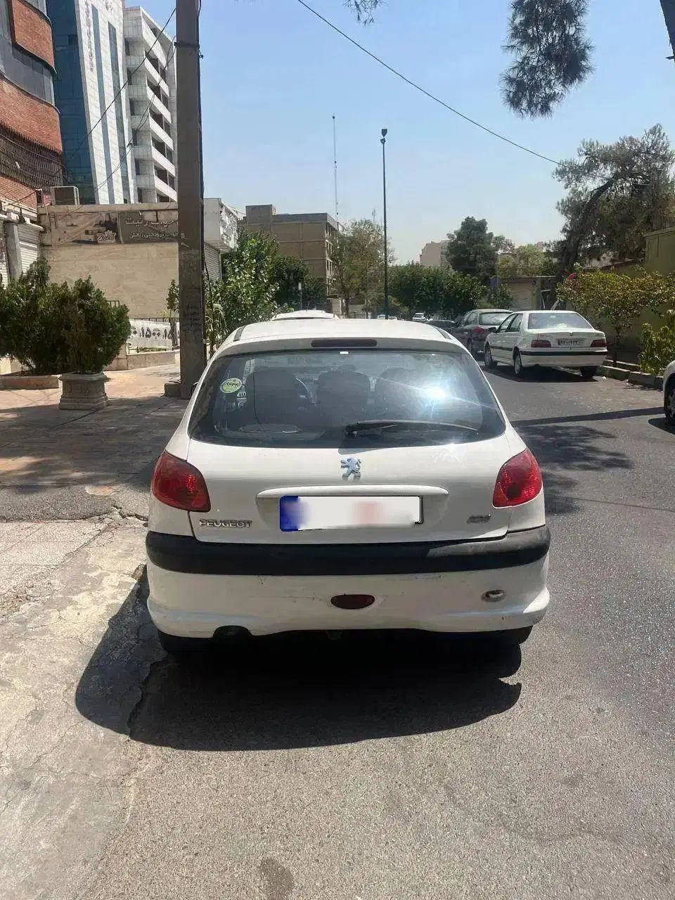 پژو 206 تیپ 5 - 1395