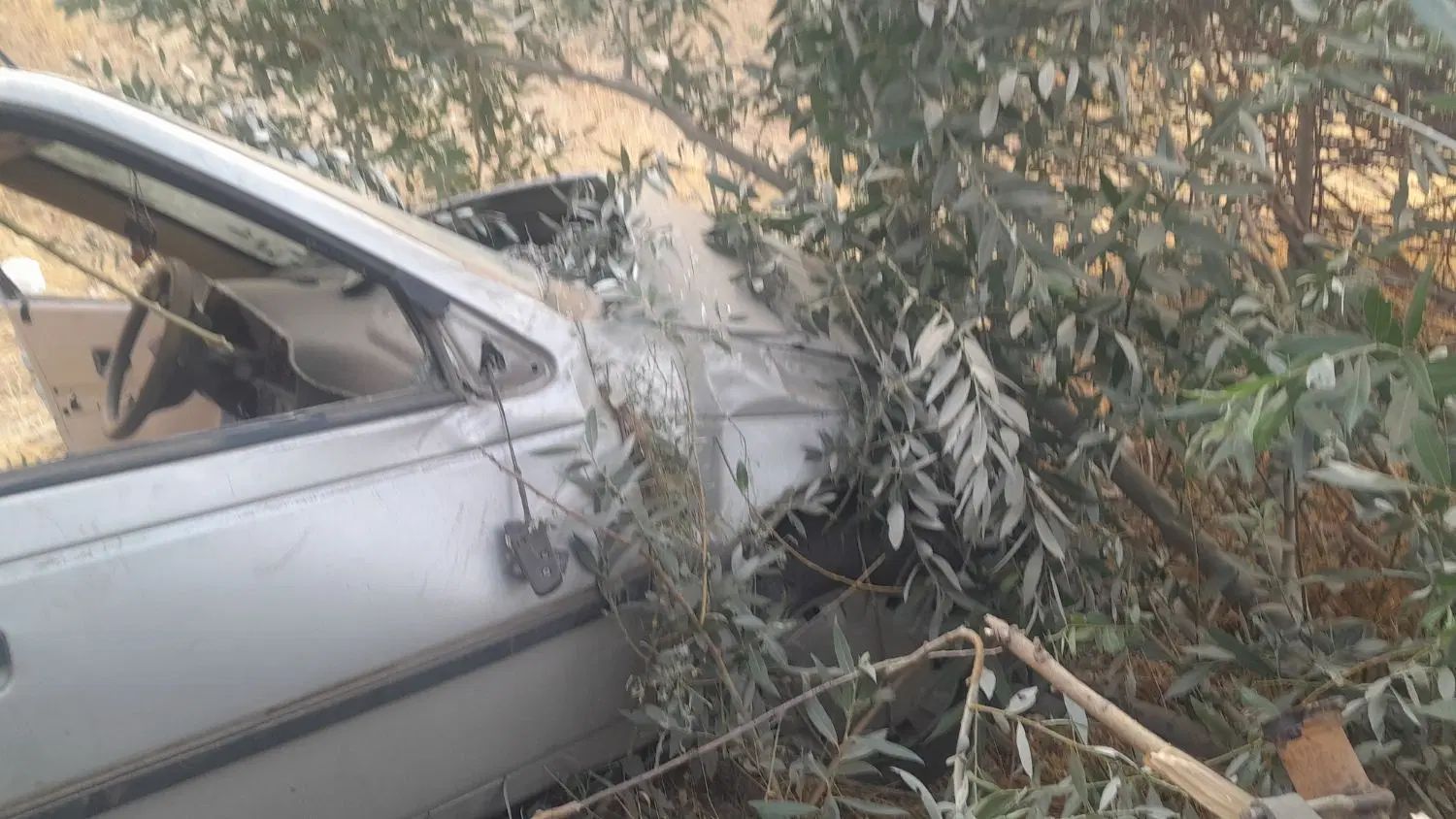 پژو 405 GLX - دوگانه سوز - 1389