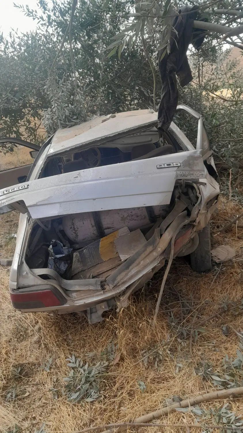 پژو 405 GLX - دوگانه سوز - 1389