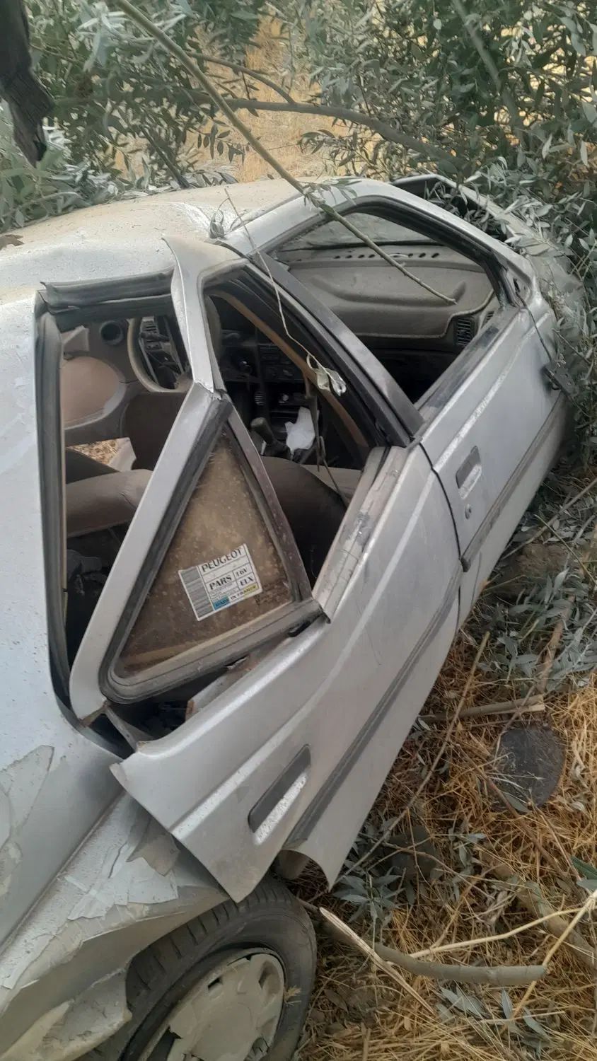 پژو 405 GLX - دوگانه سوز - 1389