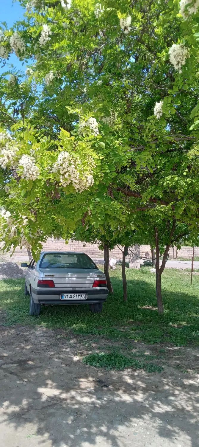 خودرو پژو، 405 آگهی ann_19957778