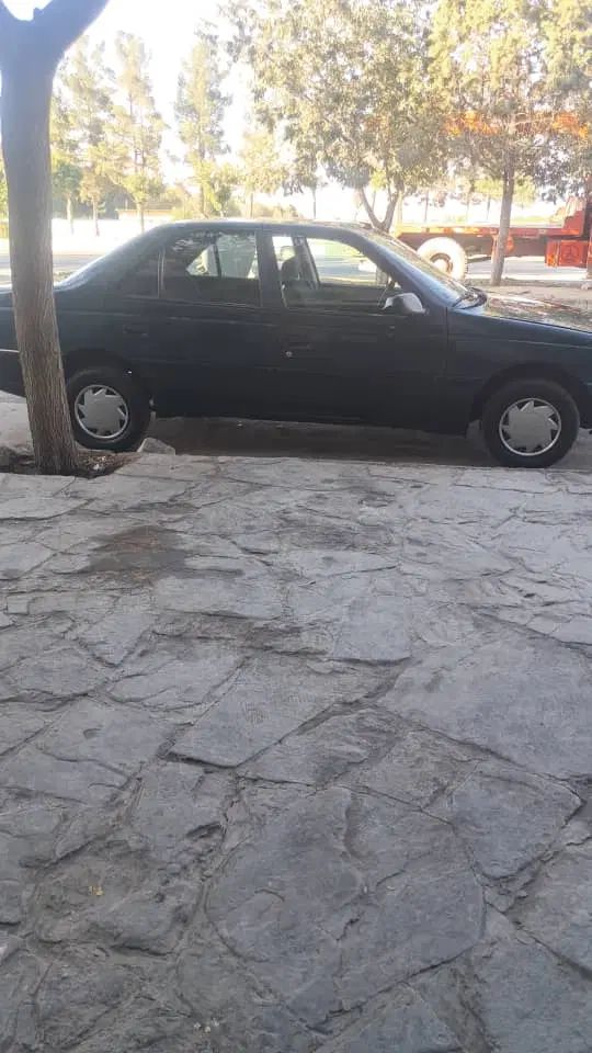 پژو آردی دوگانه سوز CNG - 1384