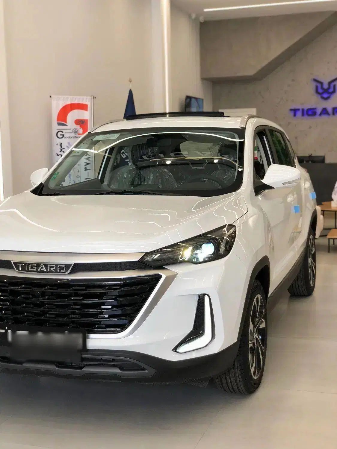 تیگارد X35 ساده - 1404