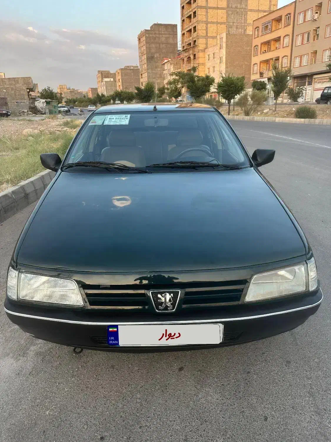 پژو آردی دوگانه سوز CNG - 1381