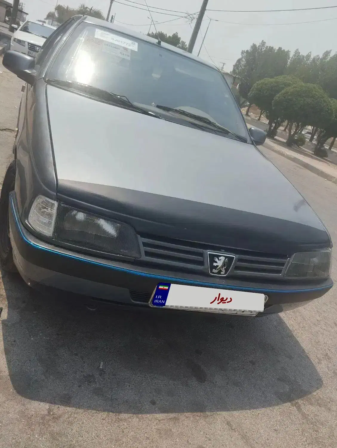 پژو 405 دوگانه سوز GLX - TU5 - 1394