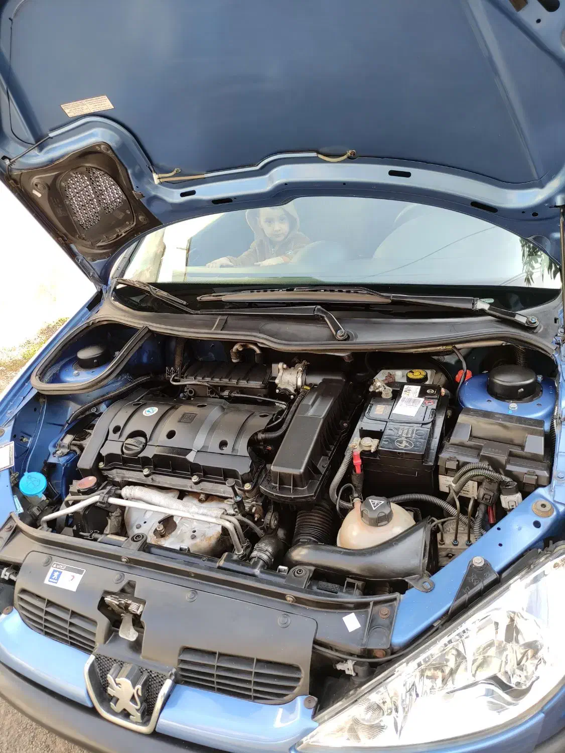 پژو ۲۰۶ صندوق دار v8 - 1393