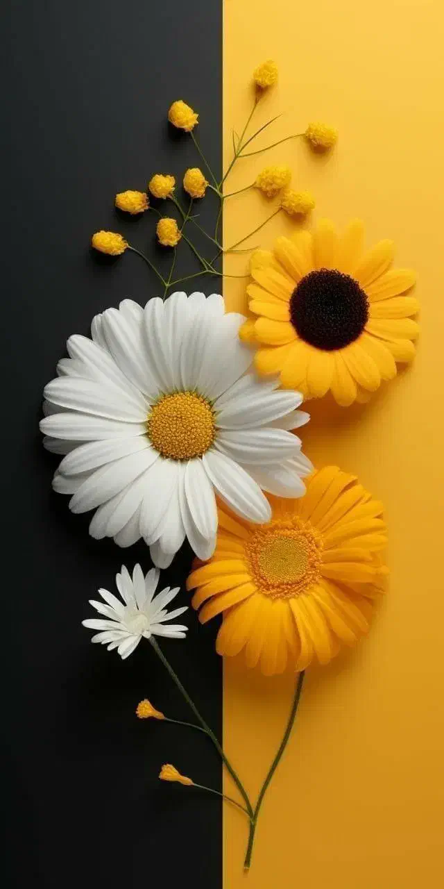 خودرو سمند، سورن پلاس آگهی ann_19963623