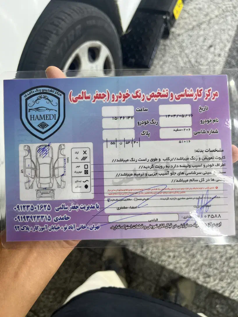 پژو 206 تیپ 5 - 1395