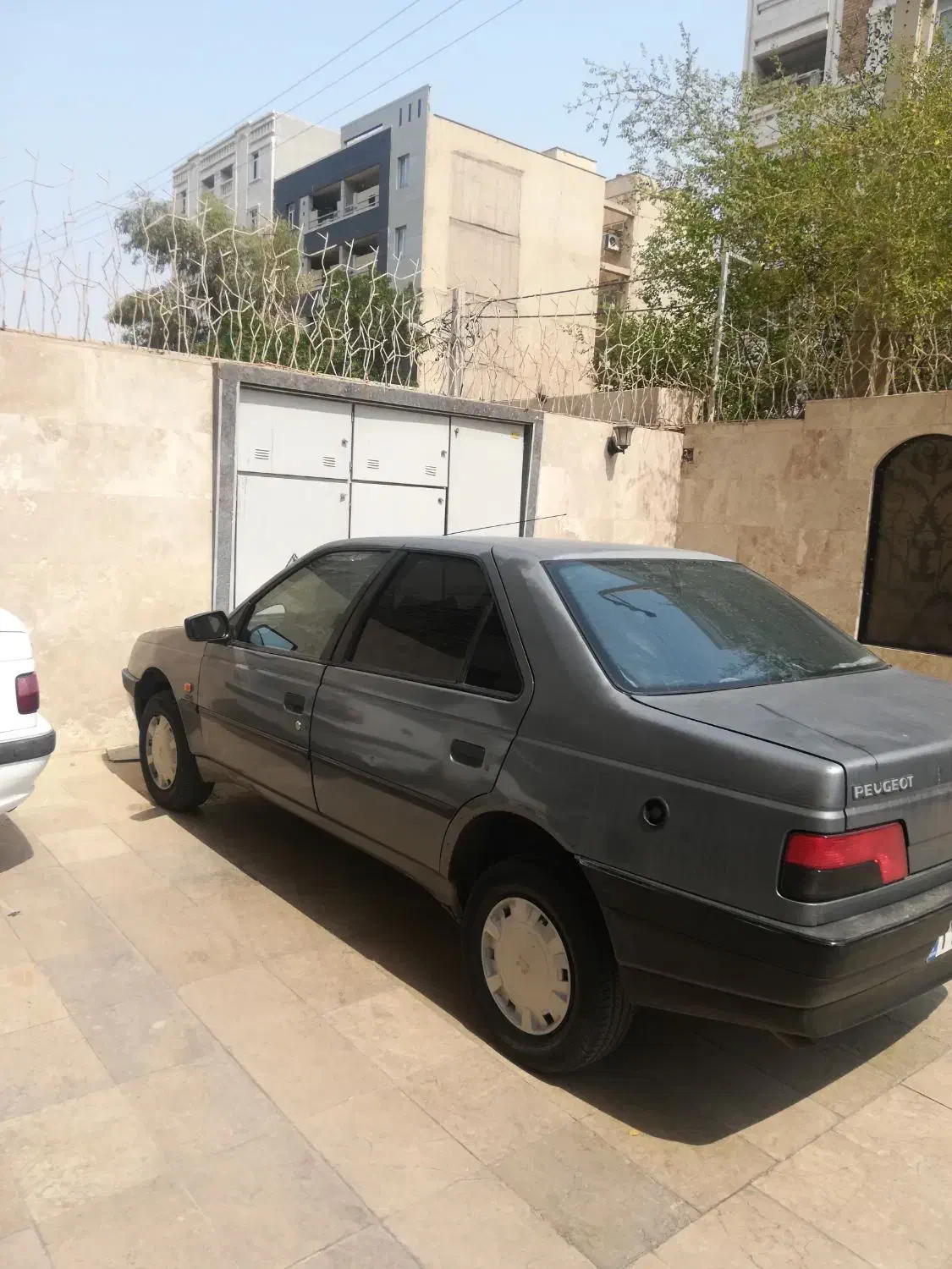 پژو 405 GLX - دوگانه سوز - 1389