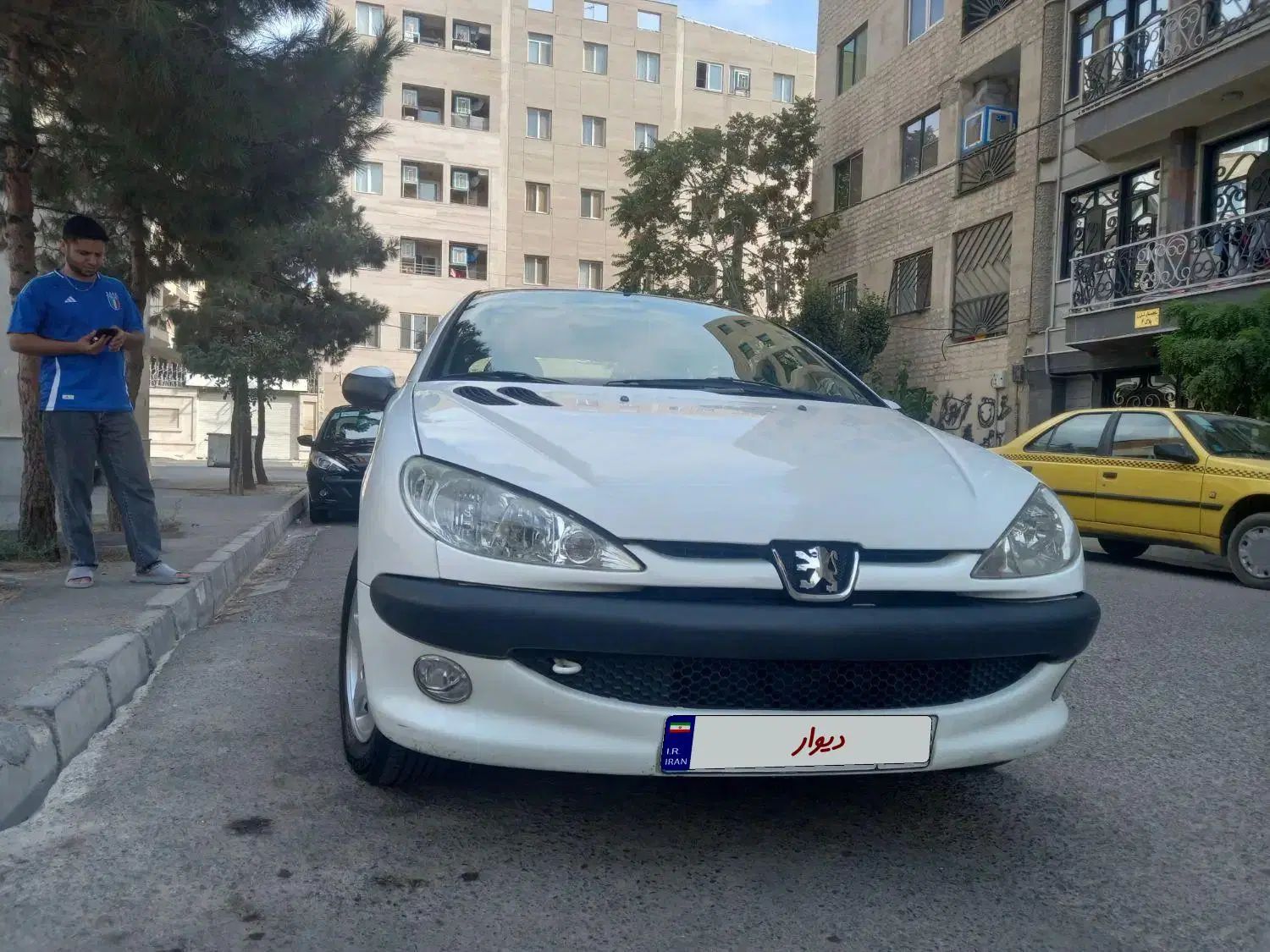 پژو 206 تیپ 5 - 1394