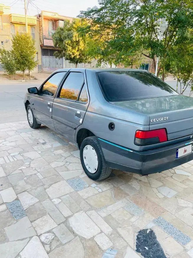 پژو 405 GLX - دوگانه سوز - 1393
