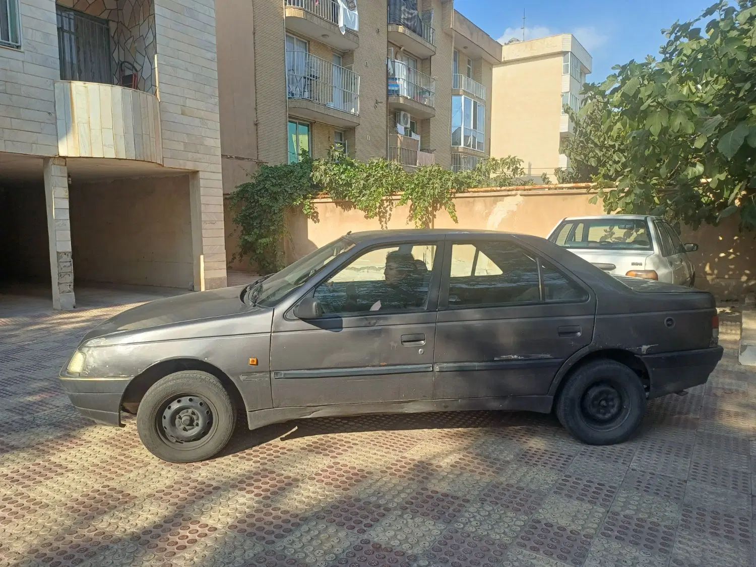 پژو روآ دوگانه سوز - 1385