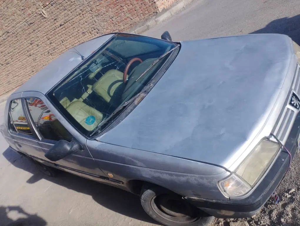 پژو 405 GLX - دوگانه سوز LPG - 1392