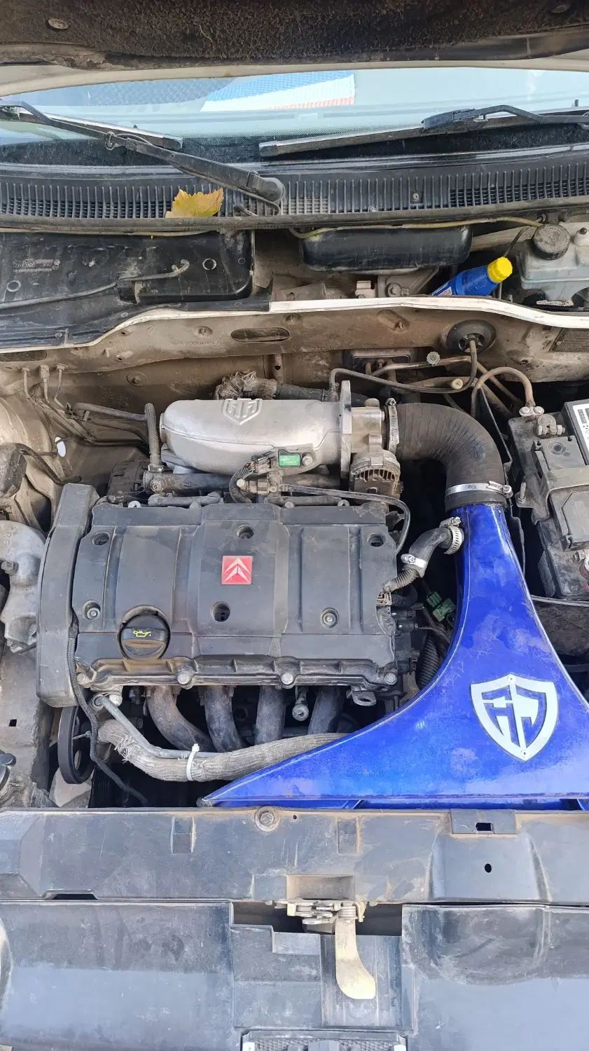 پژو 405 SLX بنزینی TU5 - 1391