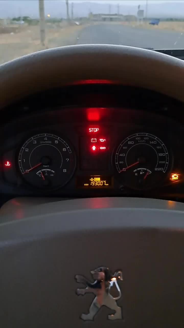 پژو 405 GLX - دوگانه سوز - 1395
