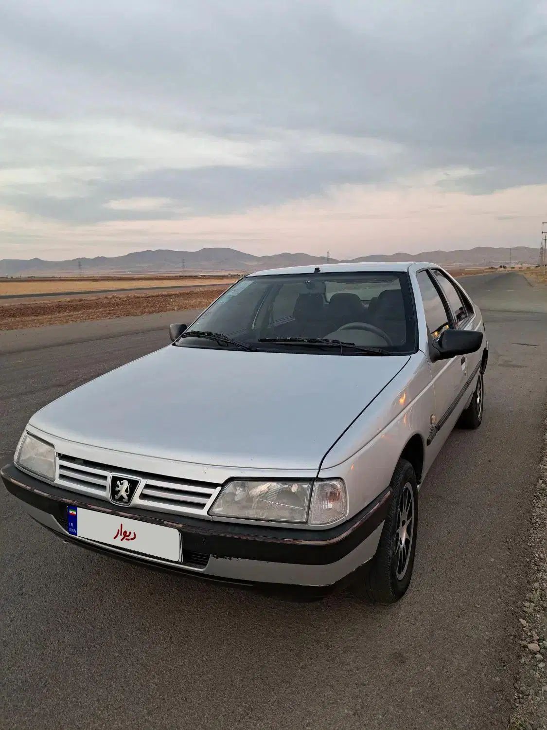 پژو 405 GLX - دوگانه سوز - 1395