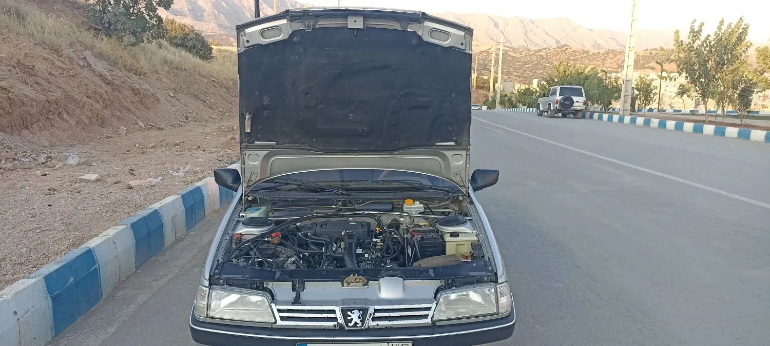 پژو 405 GLX - دوگانه سوز - 1390