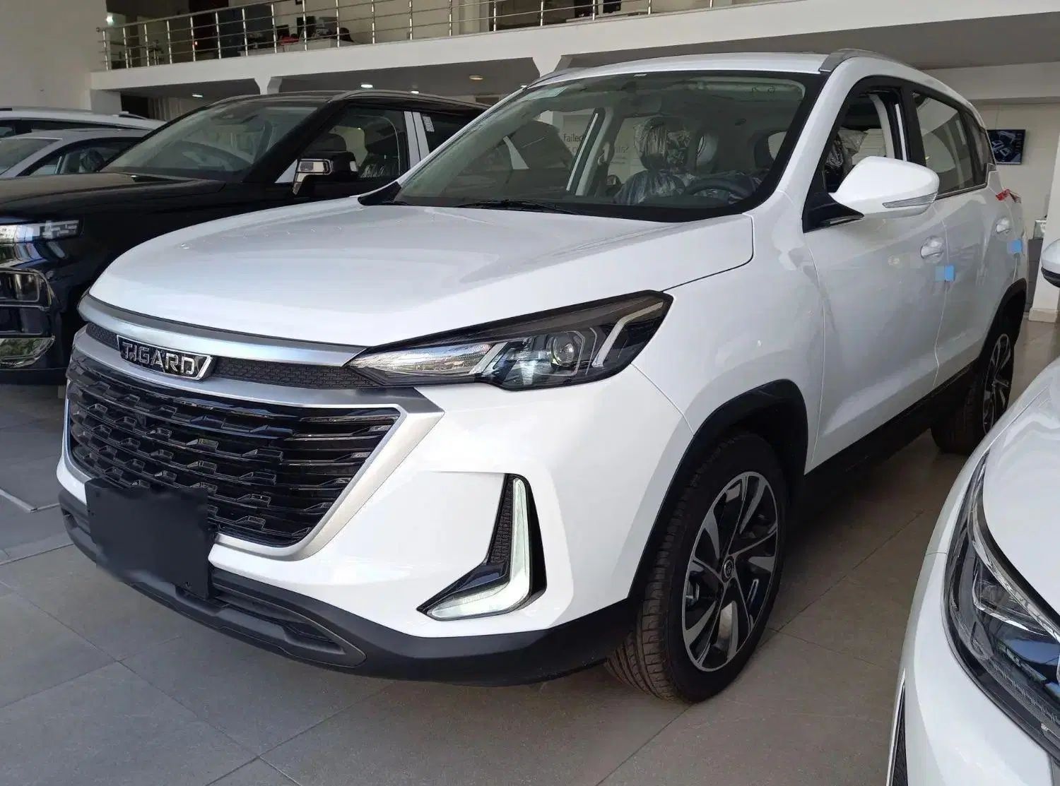 تیگارد X35 ساده - 1404