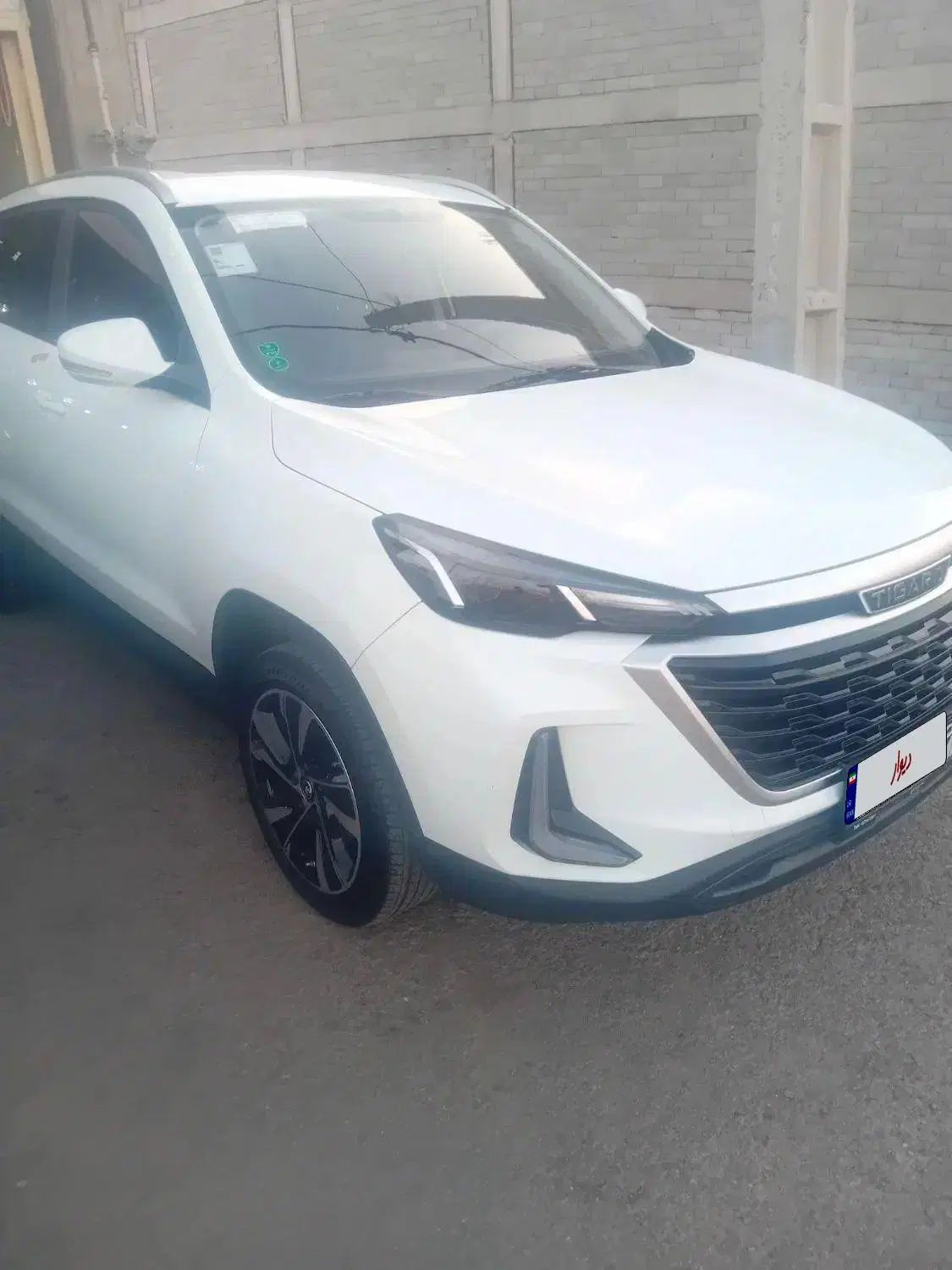 تیگارد X35 ساده - 1403