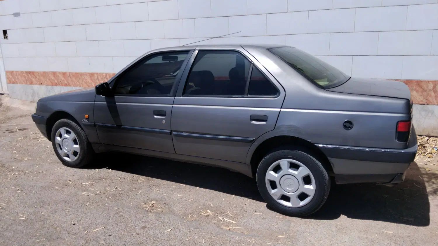 پژو 405 GLX - دوگانه سوز - 1389