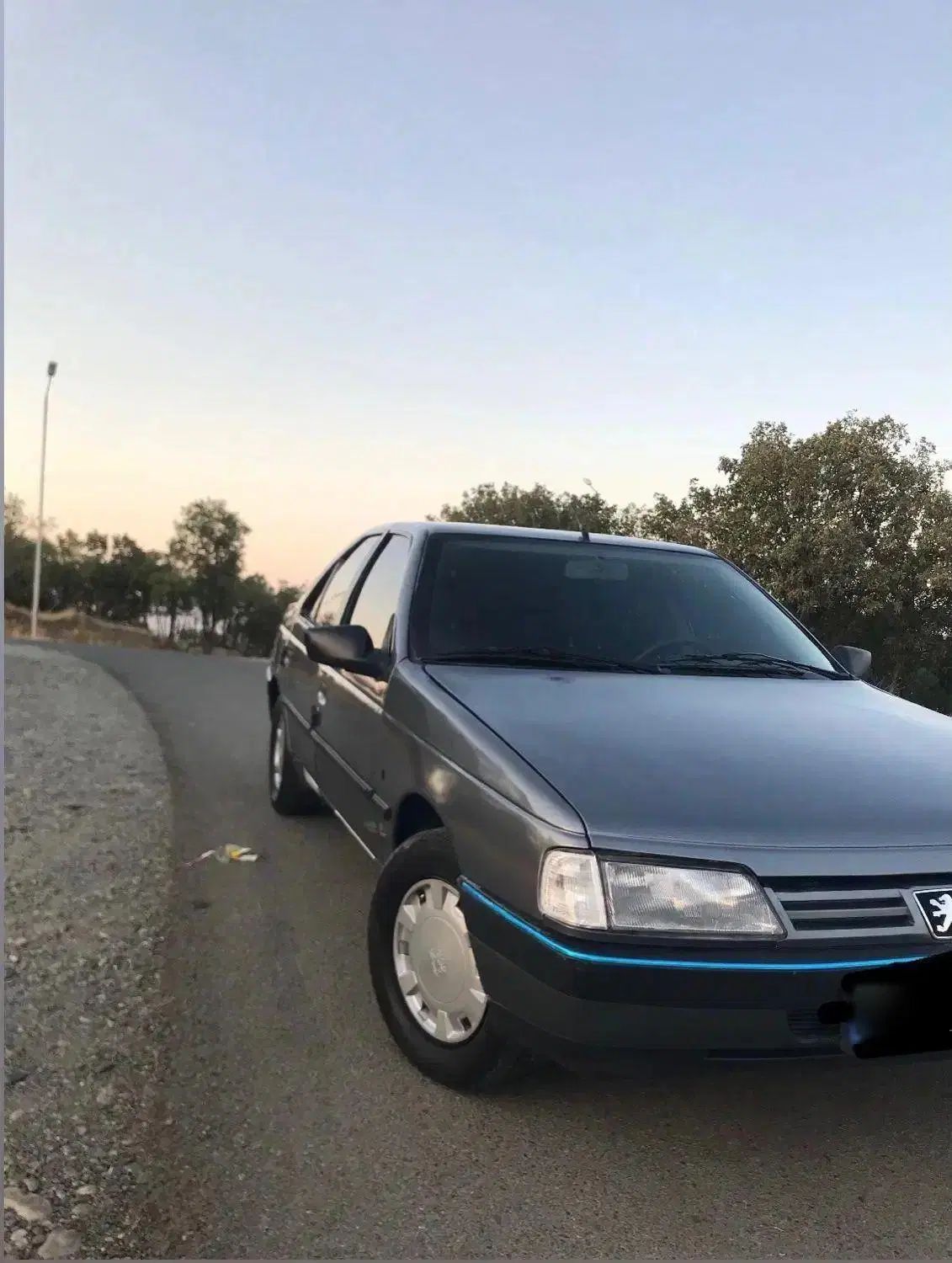 پژو 405 GLX - دوگانه سوز - 1389