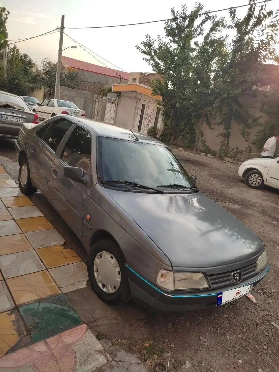 پژو 405 GLX - دوگانه سوز - 1395