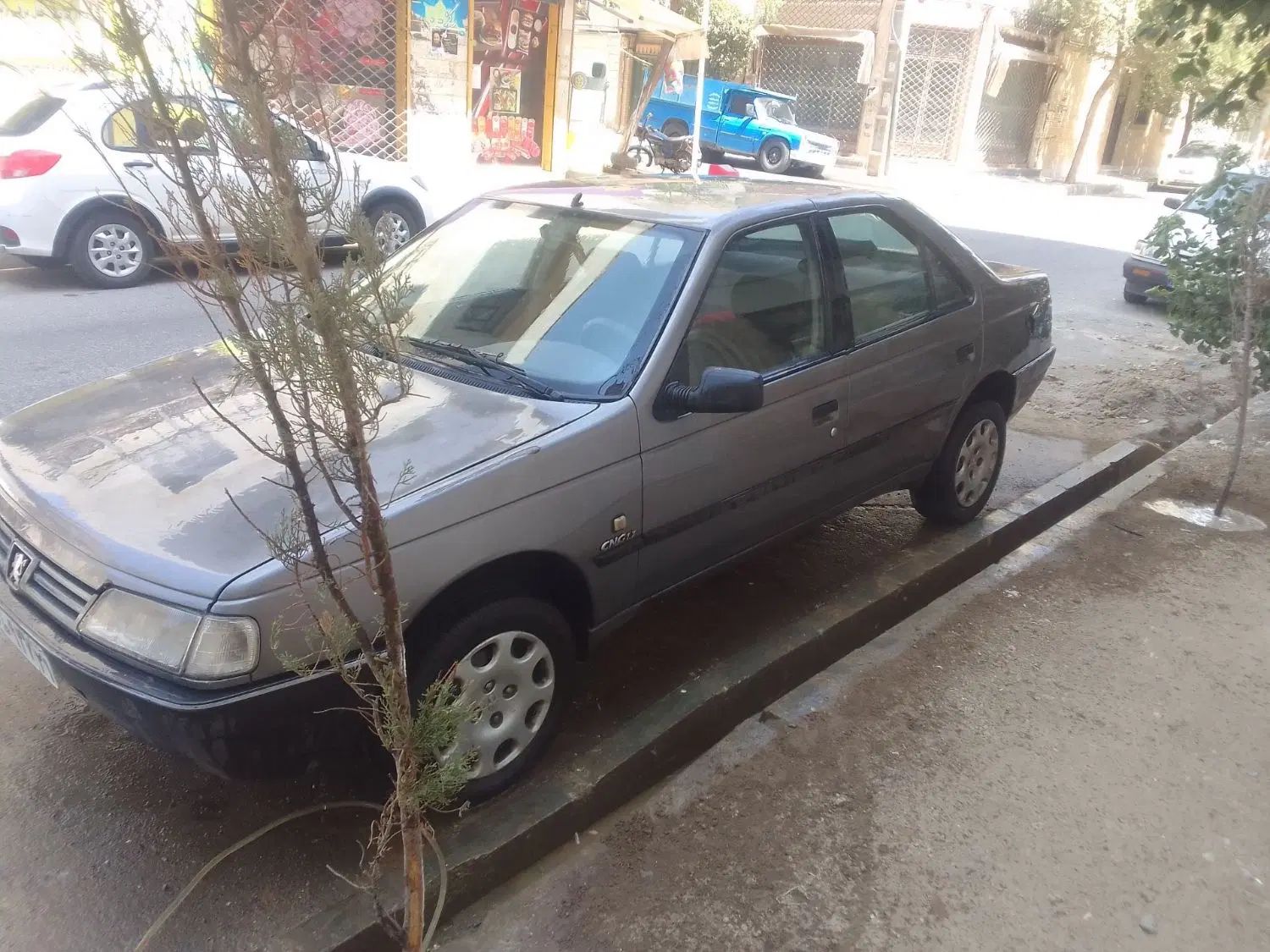 پژو روآ G2 دوگانه سوز - 1390