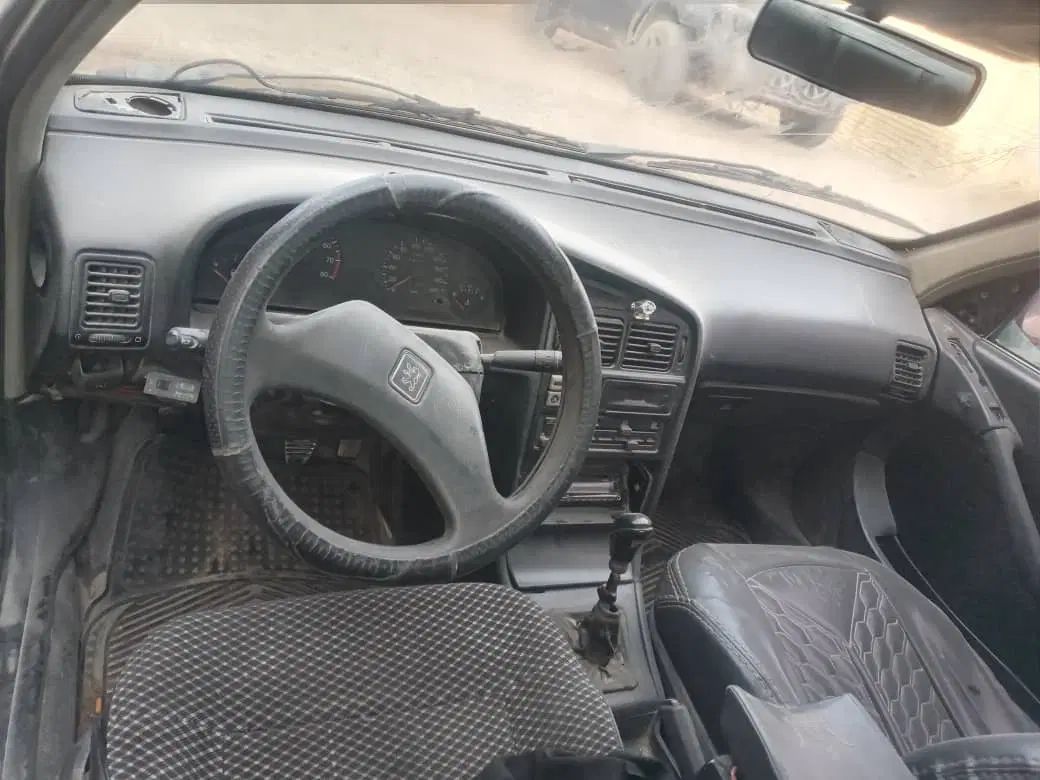 پژو آردی دوگانه سوز CNG - 1381