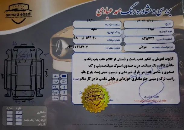 تیبا صندوق دار SX دوگانه سوز - 1394