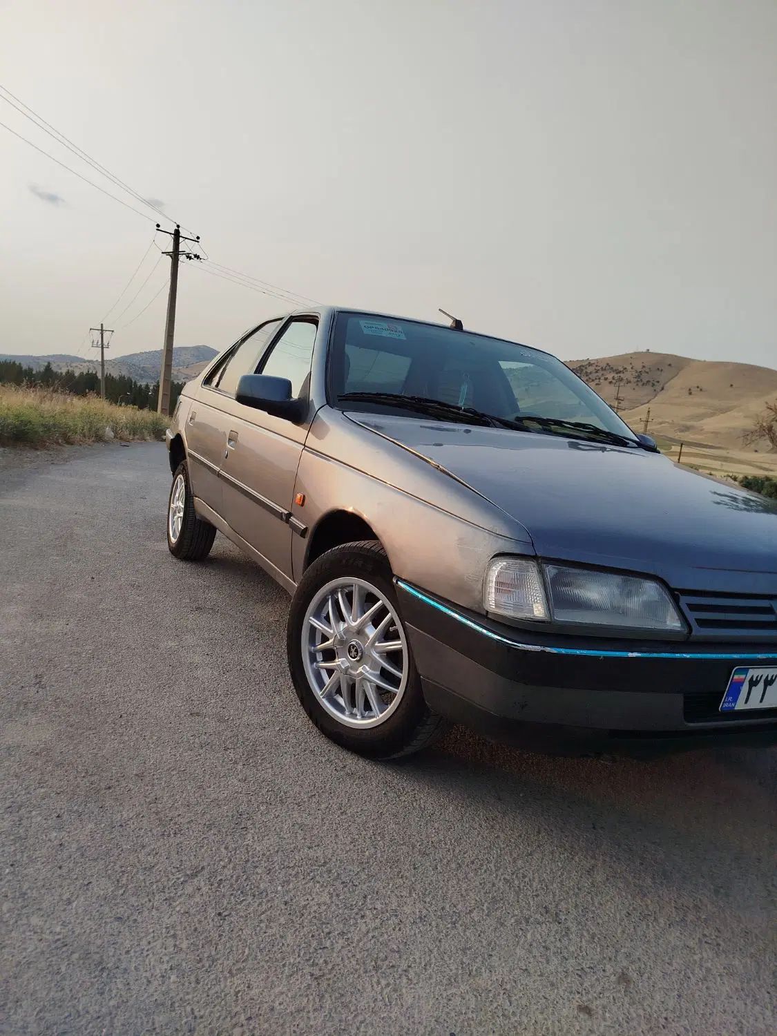 پژو 405 GLX - دوگانه سوز - 1390