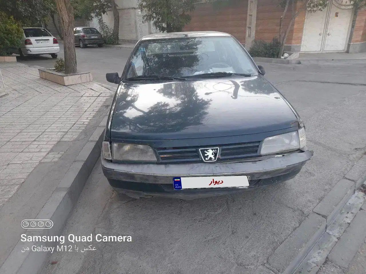 پژو آردی دوگانه سوز CNG - 1382