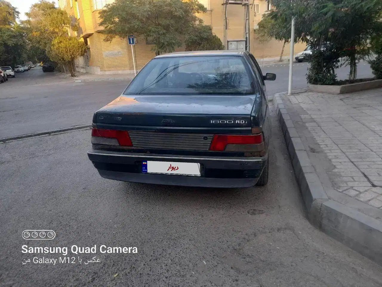 پژو آردی دوگانه سوز CNG - 1382