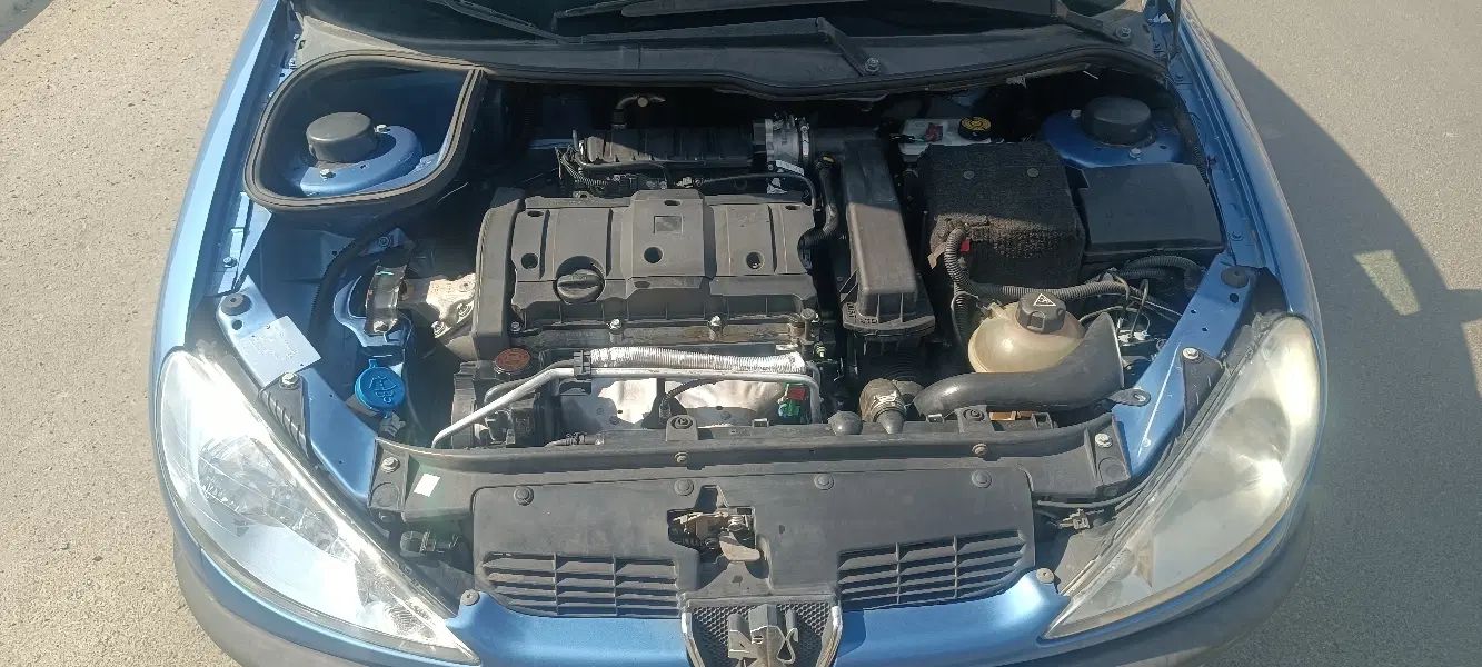 پژو ۲۰۶ صندوق دار v8 - 1396