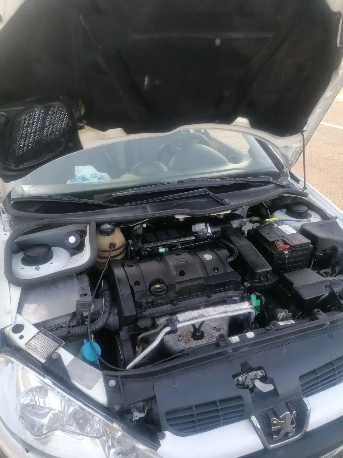 پژو ۲۰۶ صندوق دار v8 - 1391