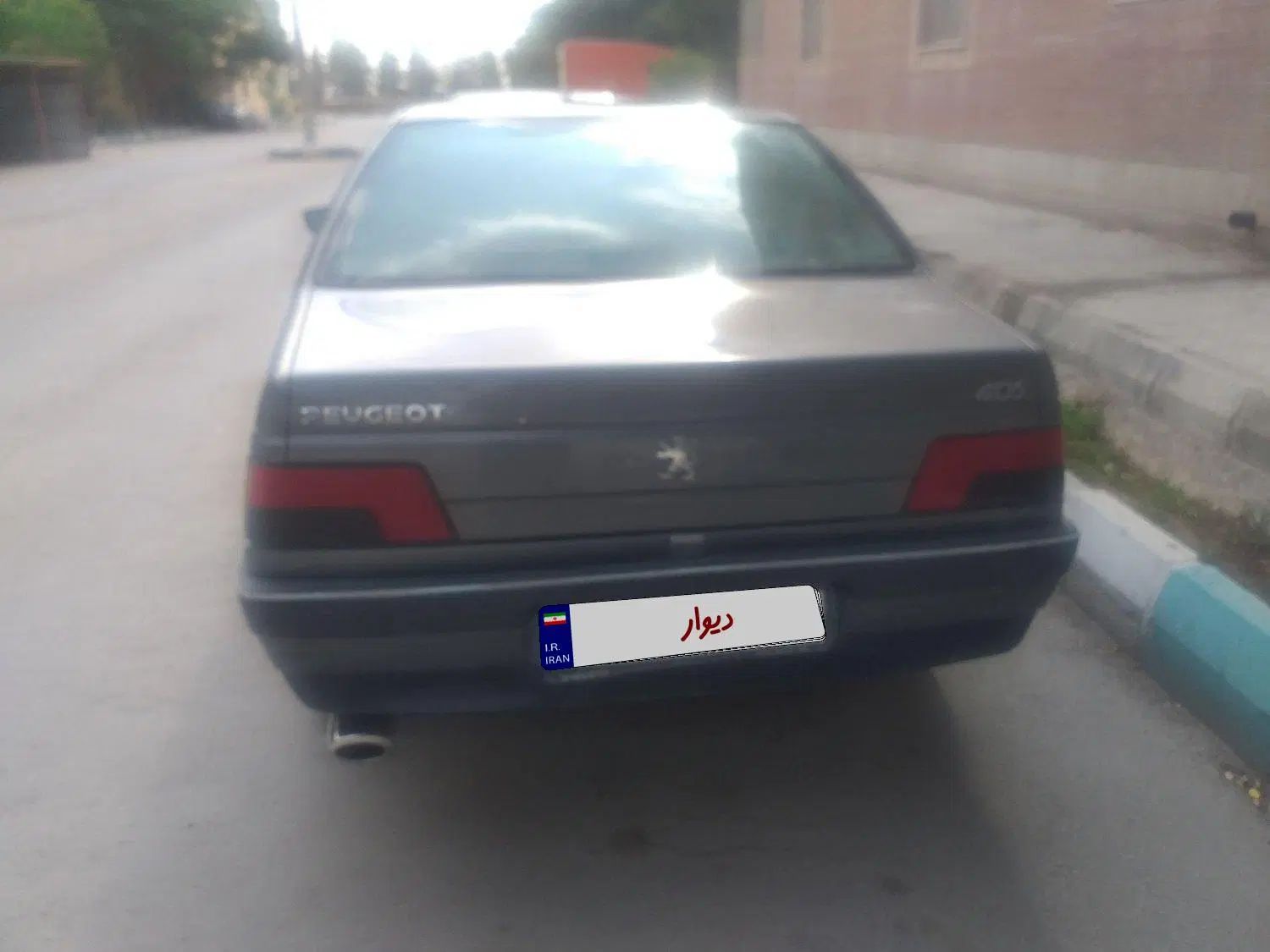 پژو 405 GLX - دوگانه سوز - 1390