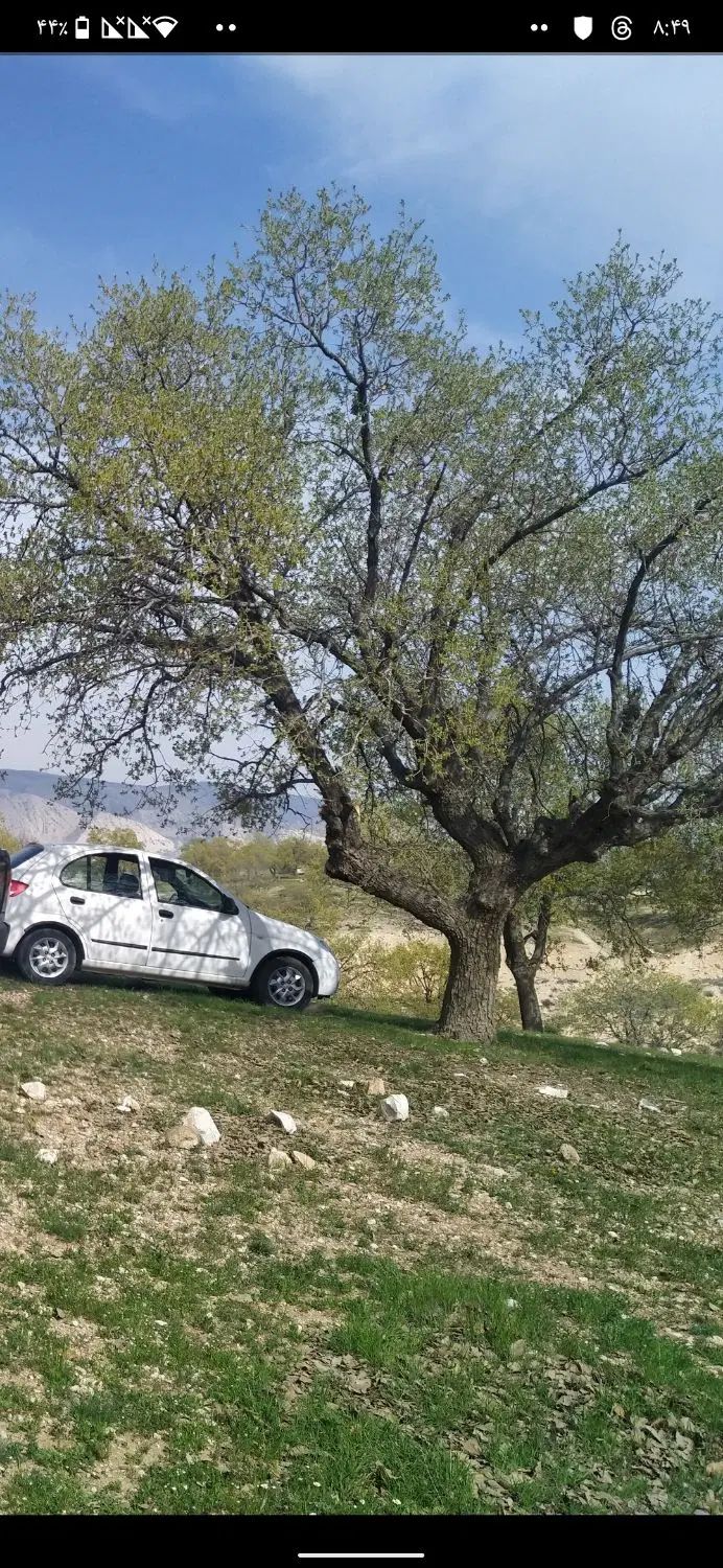 تیبا 2 پلاس - 1399