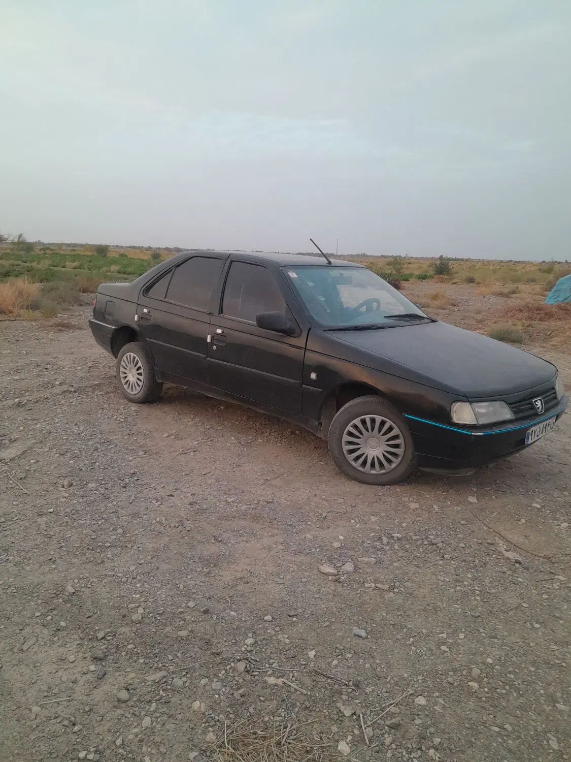 پژو 405 GLX - 1383