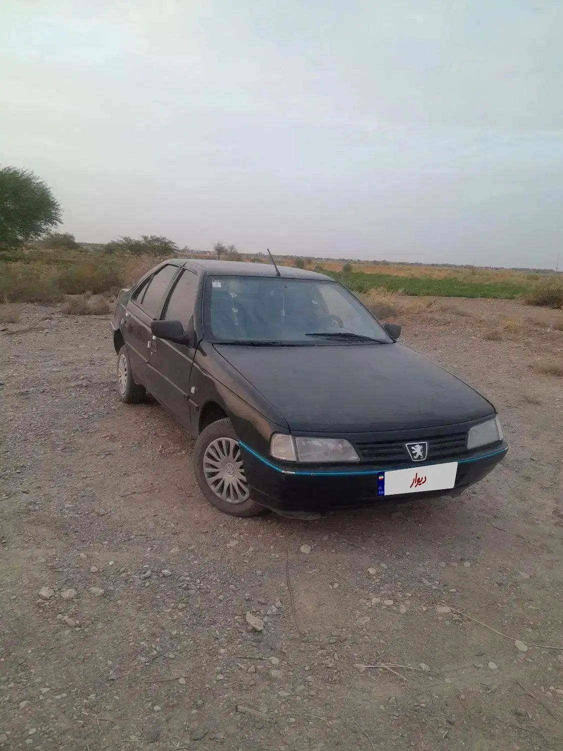 خودرو پژو، 405 آگهی ann_19982928