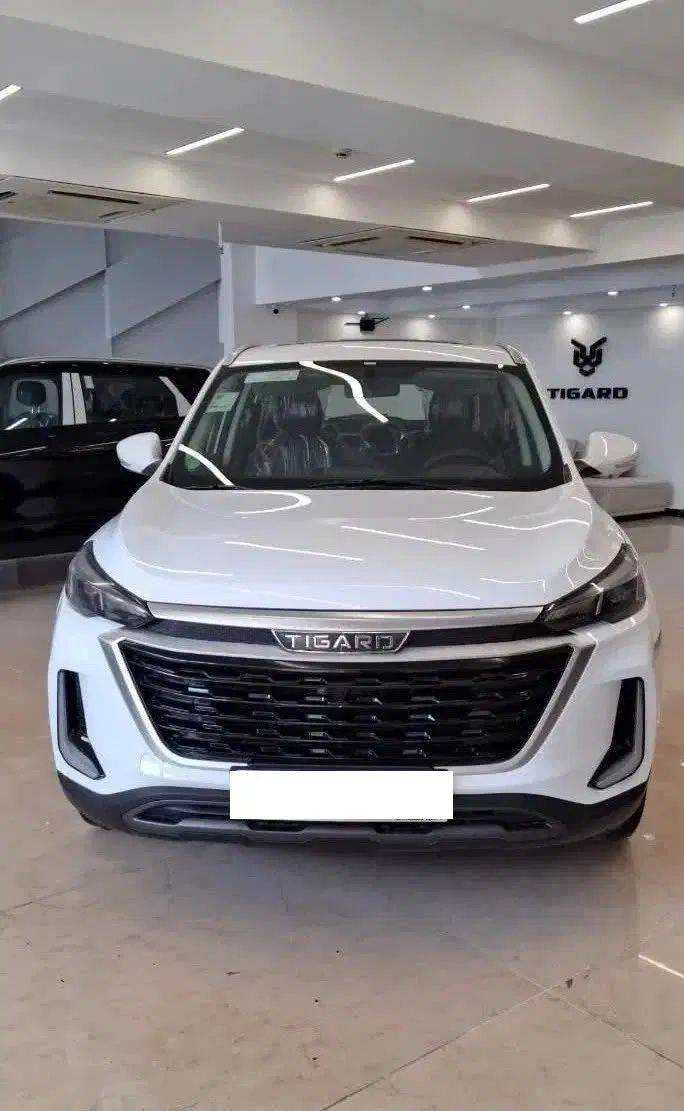 تیگارد X35 ساده - 1404