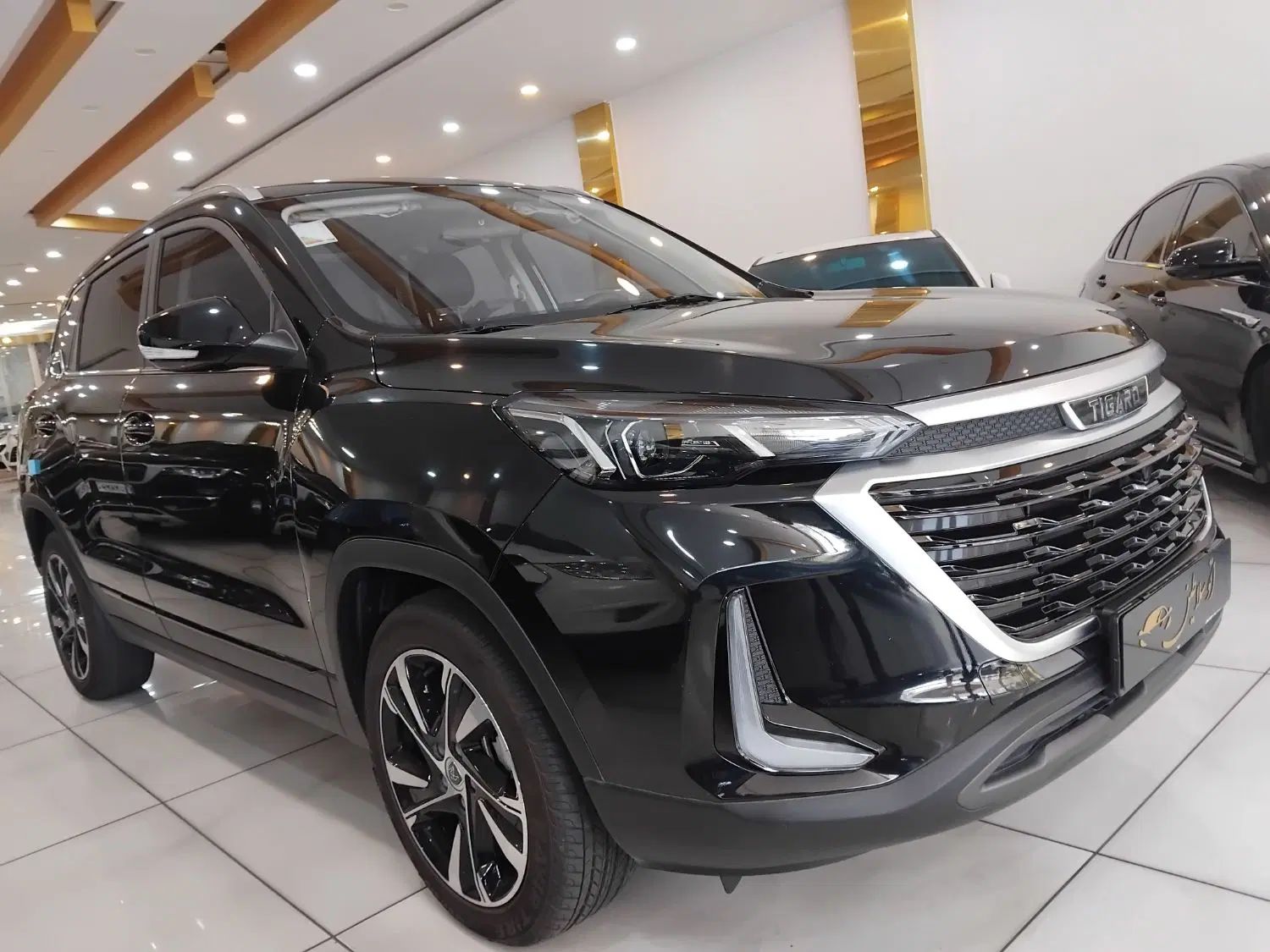 تیگارد X35 پرایم - 2023