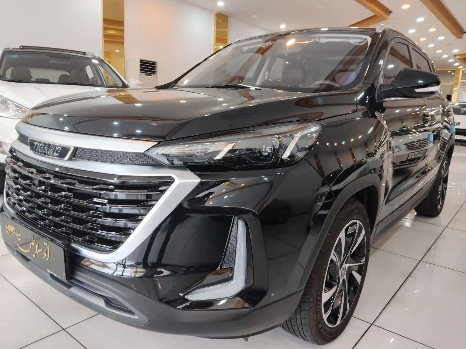 تیگارد X35 پرایم - 2023