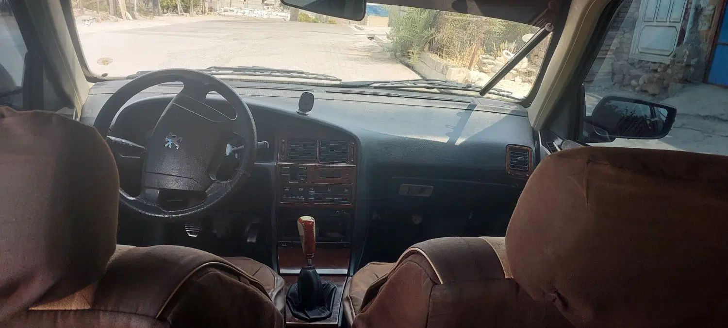 پژو پارس دوگانه سوز - 1391