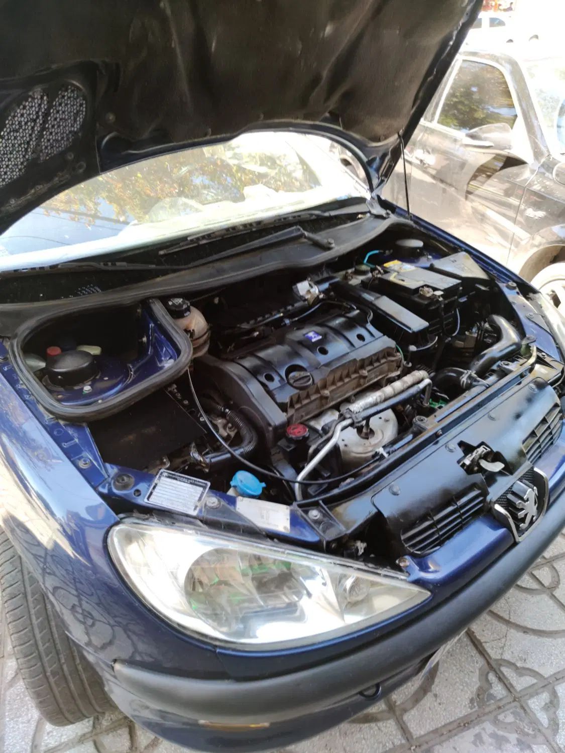 پژو ۲۰۶ صندوق دار v8 - 1390