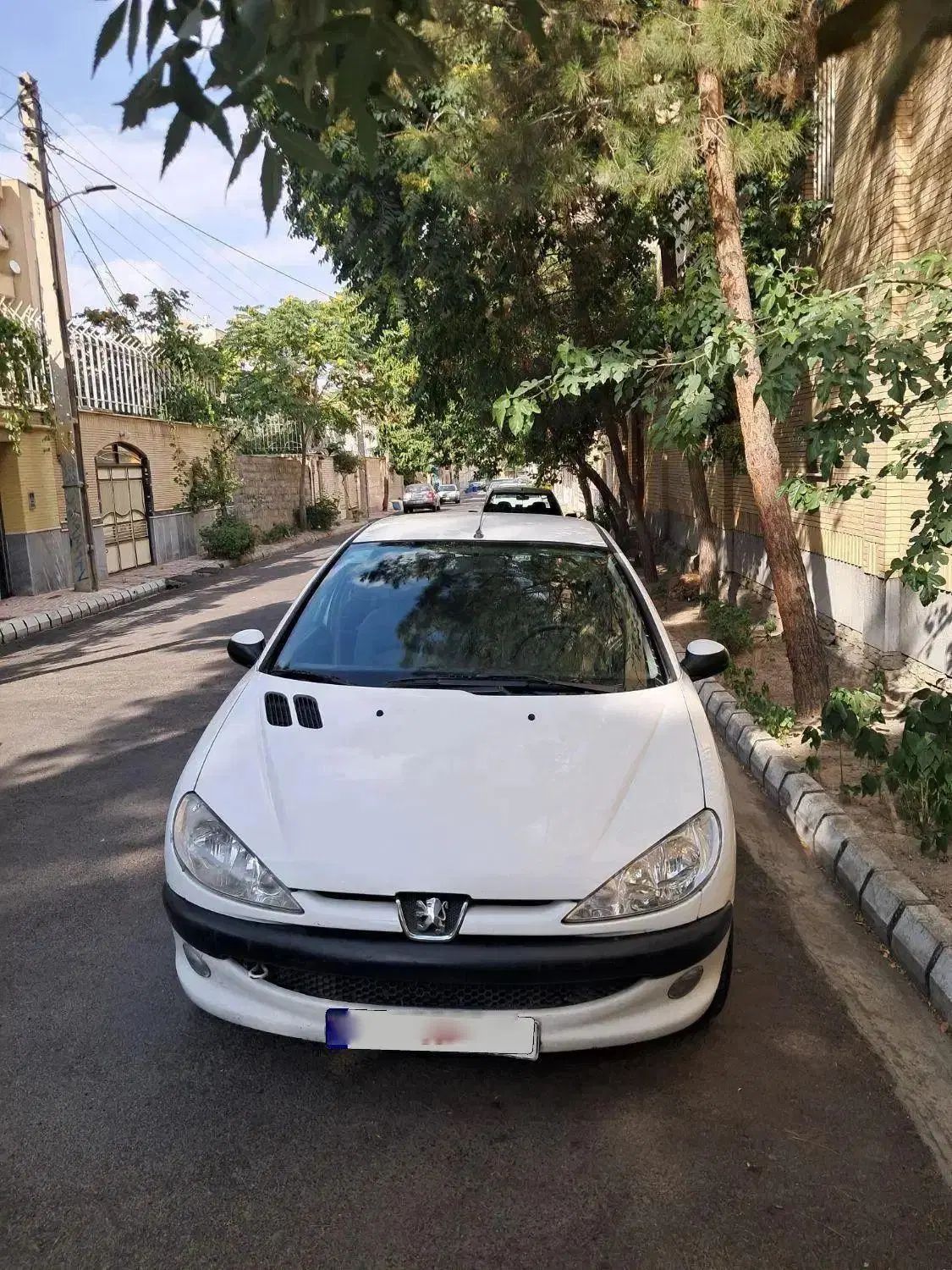 پژو ۲۰۶ صندوق دار v8 - 1390