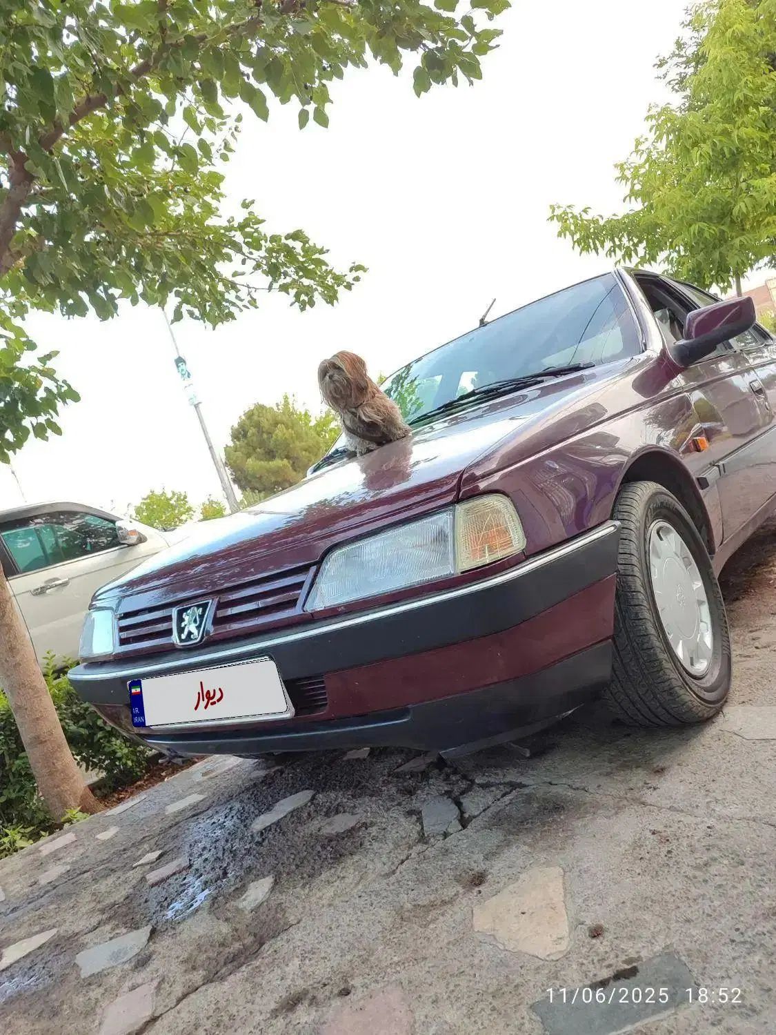 پژو 405 GLI - دوگانه سوز CNG - 1384